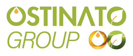 Grupo Ostinato